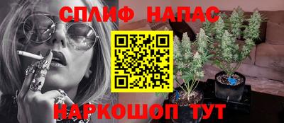 ECSTASY Кингисепп