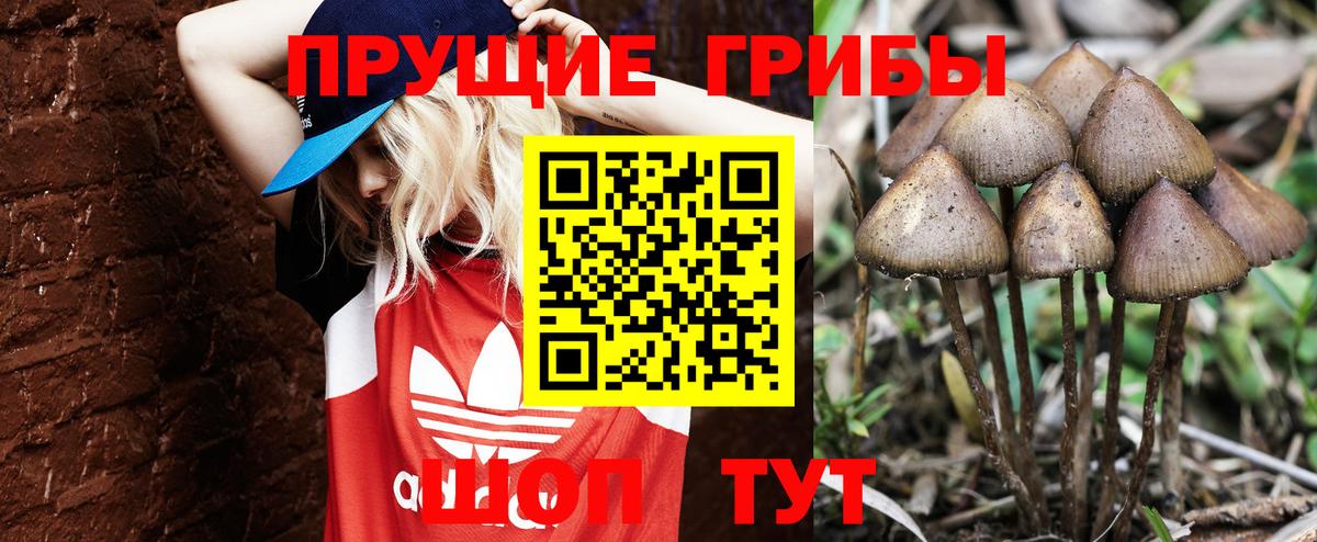Галлюциногенные грибы Psilocybine cubensis  наркотики  Комсомольск-на-Амуре  Галлюциногенные грибы Magic Shrooms  Вход с VPN 