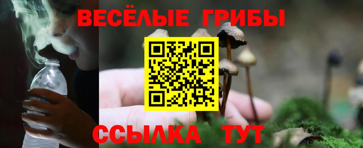 Конопля Комсомольск-на-Амуре